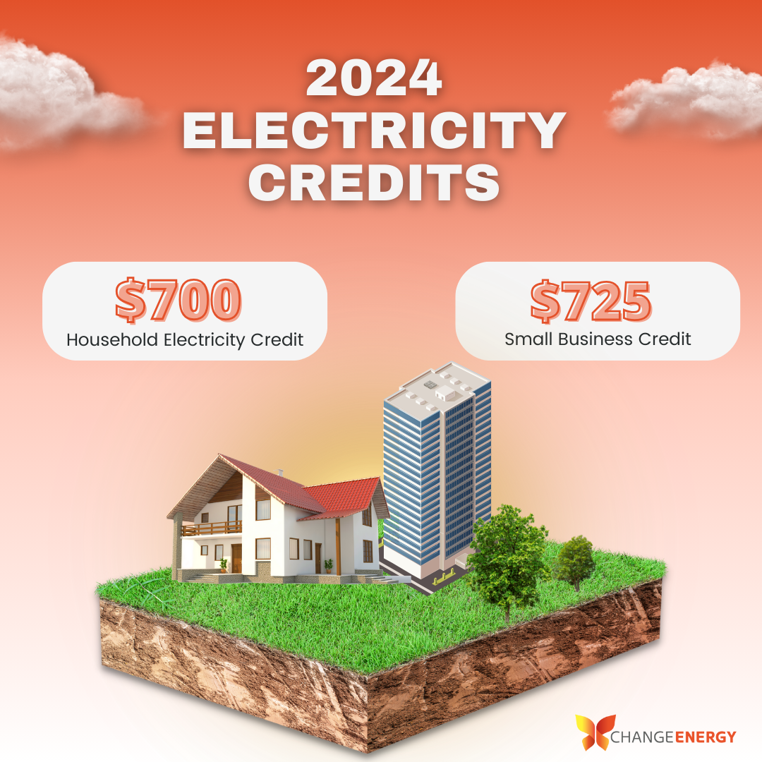 2024 Electricity Credits for Households and Small Business and Charities